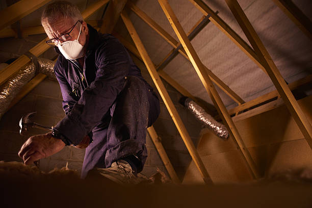 Best Residential Insulation in Palm Bay, FL